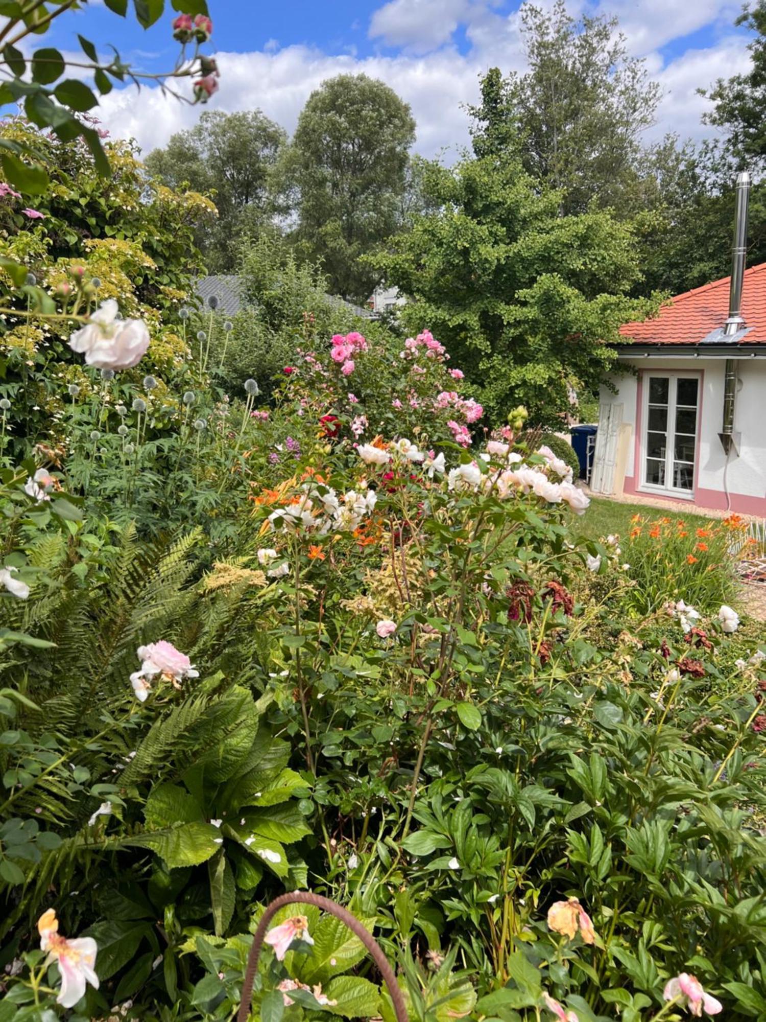 B&B Rosenliebe Niedereschach Bagian luar foto